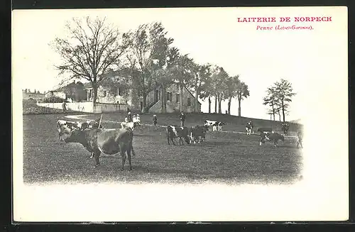 AK Penne, Laiterie de Norpech
