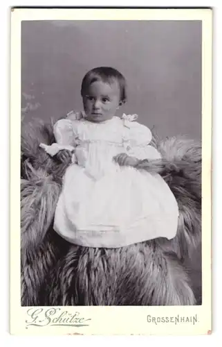 Fotografie G. Schütze, Grossenhain, Johannes-Allee 3, Portrait süsses kleines Mädchen im Kleidchen auf Fell sitzend