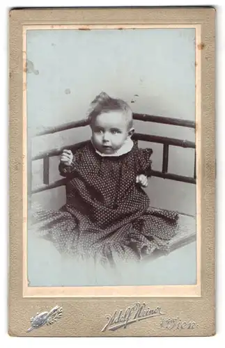 Fotografie Adolf Weiner, Wien, Fasangasse 14, Portrait süsses Baby im gepunkteten Kleidchen