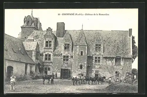 AK Champigné, Chateau de la Hamoniére