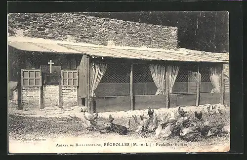 AK Bégrolles, Abbaye de Bellefontaine, Poulailler-Voliére