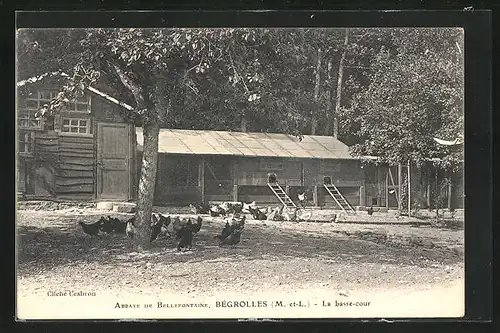 AK Bégrolles, Abbaye de Bellefontaine, la basse-cour