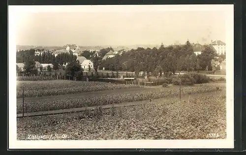 AK Zistersdorf, Blick zum Ort