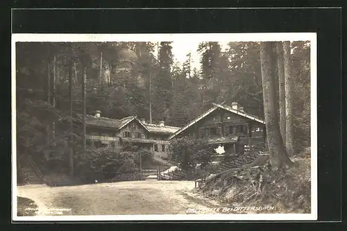 AK Dittersbach, Waldpartie mit Balzhütte