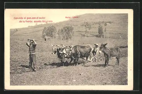 AK spanischer Bauer mit Rinderpflug auf dem Feld