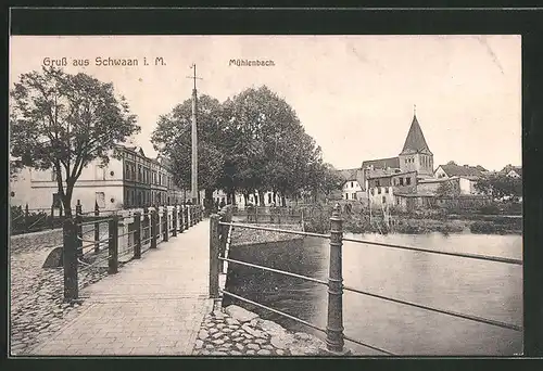 AK Schwaan i. M., Strasse am Mühlenbach mit Blick zur Kirche