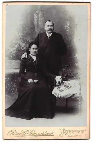 Fotografie Atelier R. Schwarzbach, Bitterfeld, Kaiserstr. 14, Portrait Ehepaar mit Dalmatiner auf dem Stuhl