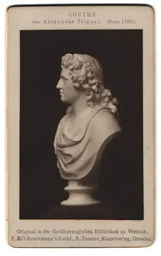 Fotografie F. & O. Brockmanns Nachf., Dresden, Ansicht Weimar, Portrait Goethe Büste von Alexander Trippel