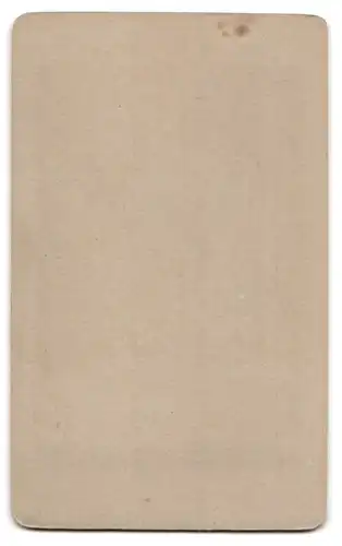 Fotografie F. & O. Brockmanns Nachf., Dresden, Ansicht Weimar, Portrait Goethe Büste von Alexander Trippel
