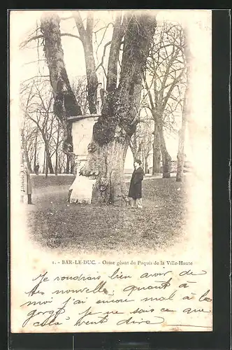 AK Bar-Le-Duc, Orme geant du Paquis de la Ville-Haute