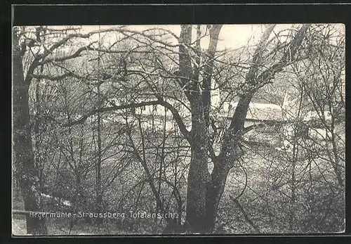 AK Strausberg, Blick aus dem Wald auf die Hegermühle