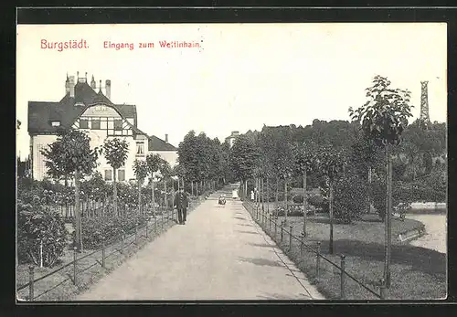 AK Burgstädt, Strasse am Wettinhain