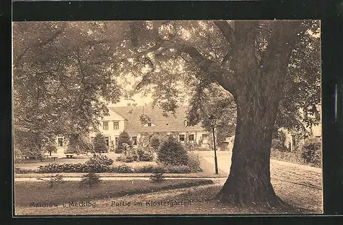 AK Malchow i. Mecklbg., Partie im Klostergarten