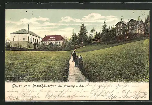 AK Freiberg i. Sa., Der Weg zum Gasthaus Rosinhäuschen