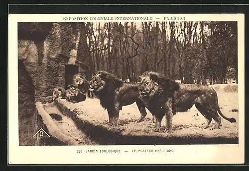 AK Paris, Exposition Coloniale Internationale 1931, Jardin Zoologique, Le Plateau des Lions