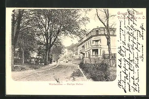 AK Bad Freienwalde a. O., Gasthaus Waldschloss, Heilige Hallen