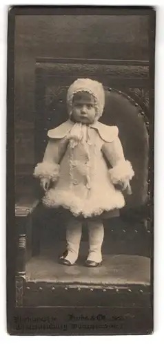 Fotografie Fuchs & Co., Charlottenburg, Wilmersdorferstrasse 57, Kleinkind im mit Wolle verzierten Kleidchen