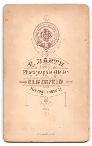Fotografie P. Barth, Elberfeld, Herzogstrasse 11, Dame im bestickten Kleid