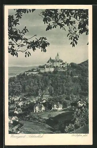 AK Wernigerode, Schlossblick mit Ortsansicht