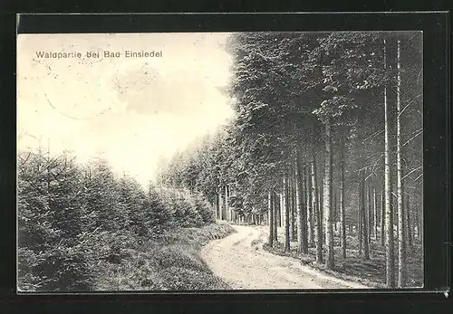 AK Bad Einsiedel, idyllischer Waldweg