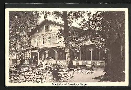 AK Sassnitz a. Rügen, Gasthaus Waldhalle, Aussenbereich