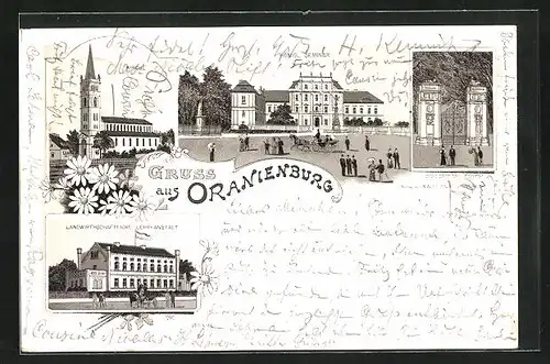 Lithographie Oranienburg, Landwirtschaftliche Lehr-Anstalt, Königl. Seminar