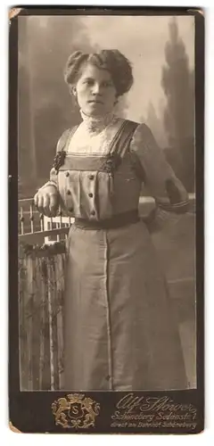 Fotografie Alf. Stöver, Berlin-Schöneberg, Sedanstr. 1, Schöne Frau mit voluminöser Hochsteckfrisur in Trachtenkleid