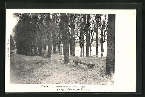 AK Joigny, L`Inondation du 22 Janvier 1910, Hochwasser