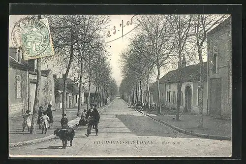 AK Champigny-sur-Yonne, L`Avenue