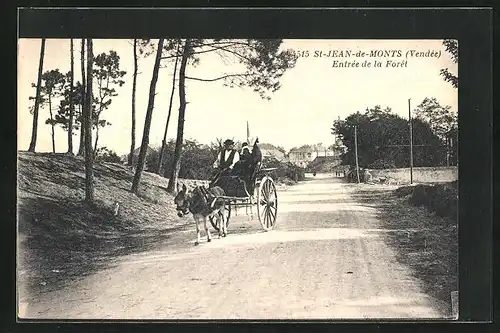 AK St-Jean-de-Monts, Entrée de la Forêt