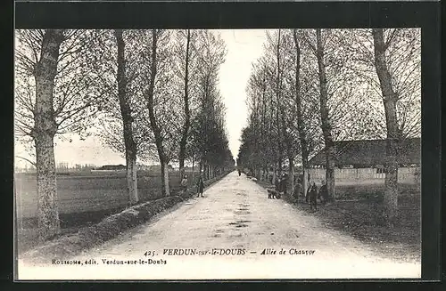 AK Verdun-sur-le-Doubs, Allee du Chauvor