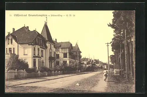 AK Brunshaupten, Bülow-Weg mit Villen