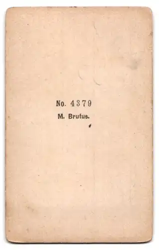 Fotografie unbekannter Fotograf und Ort, Gemälde M. Brutus, Büste