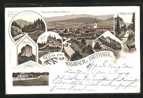 Lithographie Tambach-Dietharz, Panorama der Stadt, Falkenstein, Napoleon-Stein