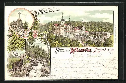 Lithographie Ilsenburg, Hotel Zur Waldhöhe, Ilsenstein, Ilsenthal