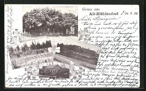 AK Alt-Mühlendorf, Wohnhaus mit Bewohner, Park, Fischbrutanstalt