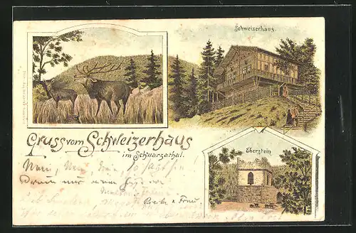 Lithographie Schwarzburg, Gasthaus Schweizerhaus, Ruine Eberstein, Hirsch beim Ruf