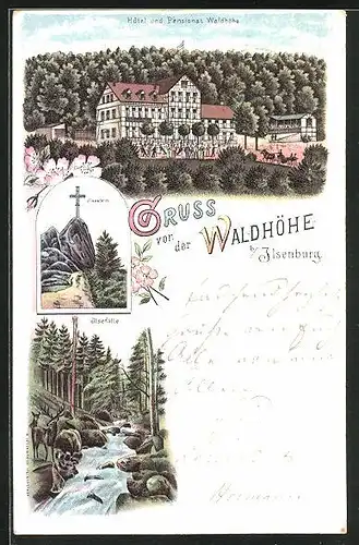 Lithographie Ilsenburg, Hotel Pensionat Waldhöhe, Ilsefälle und Ilsestein
