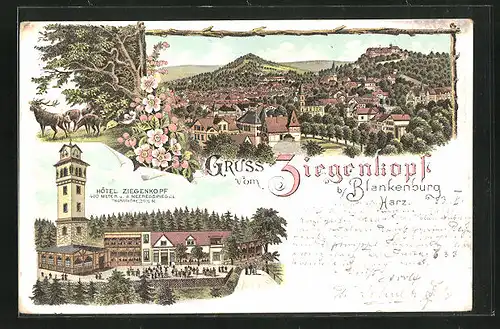 Lithographie Blankenburg / Harz, Hotel Ziegenkopf, Gesamtansicht