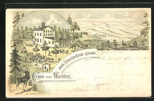 Lithographie Wachberg, Hotel Schweizerkrone mit Terrasse, Hirsch