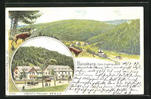 Lithographie Bärenburg / Sächs. Erzgebirge, Gasthof-Pension Bärenburg, Gesamtansicht mit Reh