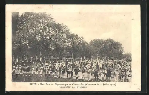 AK Sens, Une Fete de Gymnastique au Clos-le-Roi 1911, Présentation des Drapeaux, Turnfest