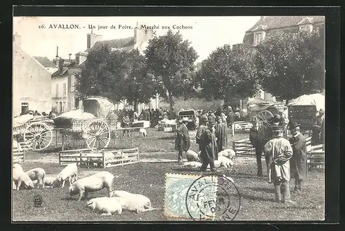 AK Avallon, Un jour de Foire, Marché aux Cochons