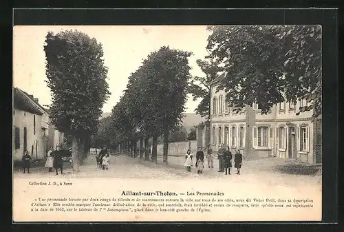 AK Aillant-sur-Tholon, Les Promenades