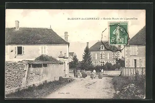 AK Bleigny-le-Carreau, Entrée Route de Lignorelles