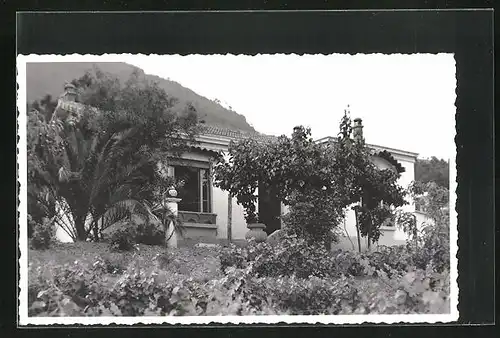 AK Cavalaire, Villa des Eucalyptus
