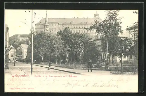 AK Weissenfels, Strassenpartie an der Promenade mit Schloss