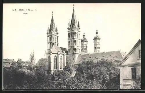 AK Naumburg a. d. Saale, Blick auf den Dom