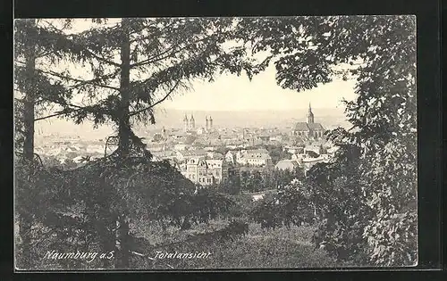 AK Naumburg a. d. Saale, Blick auf Ortschaft aus Wald