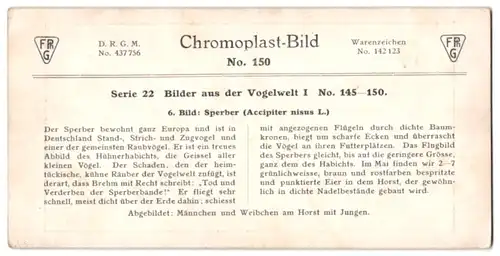 Stereo-Fotografie D.R.G.M., Chromoplast-Bild, Sperber Paar am Horst mit Jungen